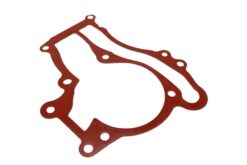 LSC 55568033 : Genuine OEM Water Pump Gasket - NEW