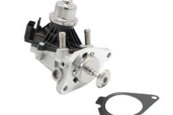LSC 11718513132 : GENUINE Siemens EGR Valve - NEW