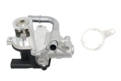 LSC 8200836385 : EGR Valve for Dacia and Renault - NEW