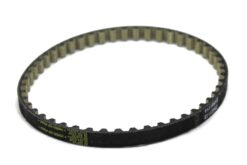 LSC 2011555 : GENUINE Ford Oil Pump Drive Belt - NEW