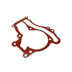 LSC 55568033 : Genuine OEM Water Pump Gasket - NEW