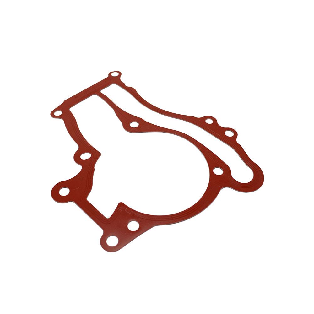 LSC 55568033 : Genuine OEM Water Pump Gasket - NEW
